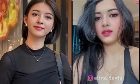 elina devia itu siapa|Elina Devia Biodata Lengkap, Profil Elina Devia:。